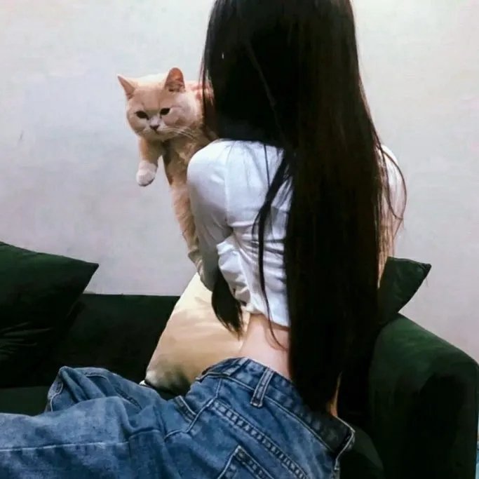迷失第三季
